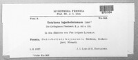 Image Associated With the Occurence
